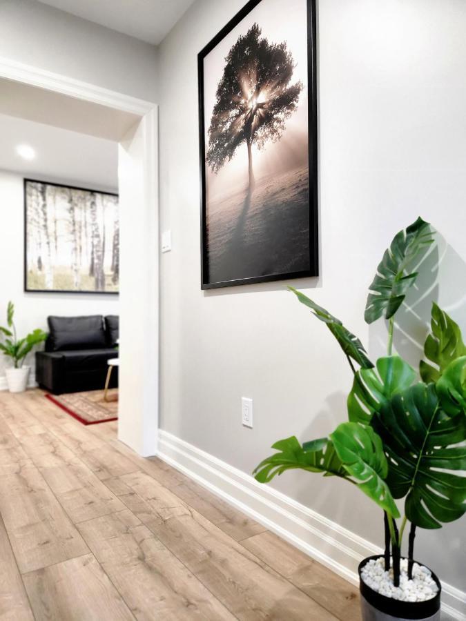 The Cozy Cove Modern King-Bedroom Full Apartment Saint Catharines Exterior foto